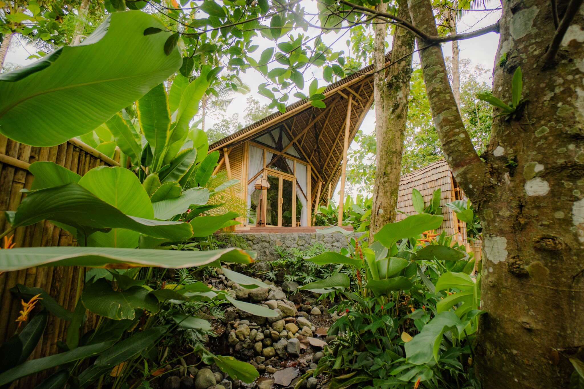 Gallery static-page/gallery/2b265a17-d02a-4263-8214-0f7e8e07d11d.jpg